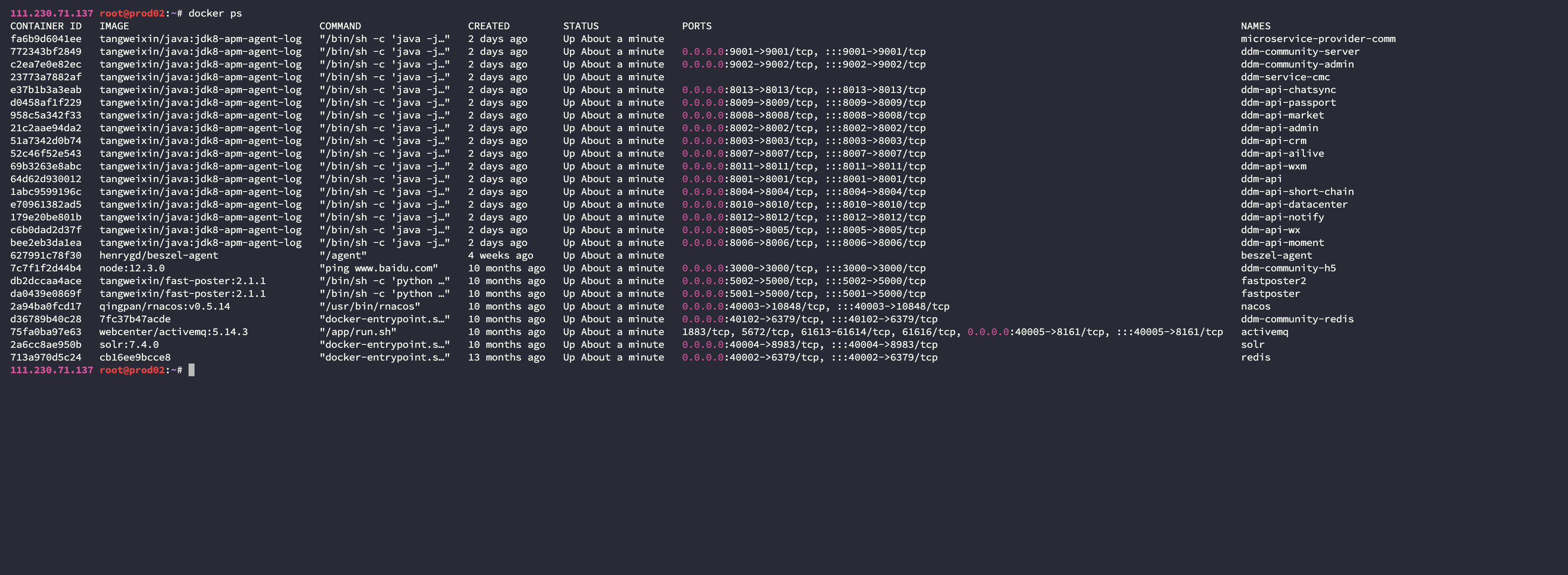 image-20250527000702480